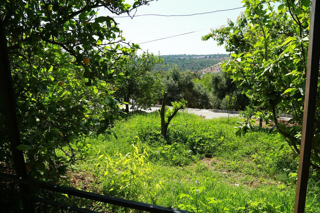 פטארה Hotel Sema מראה חיצוני תמונה